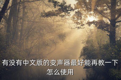 有没有中文版的变声器最好能再教一下怎么使用