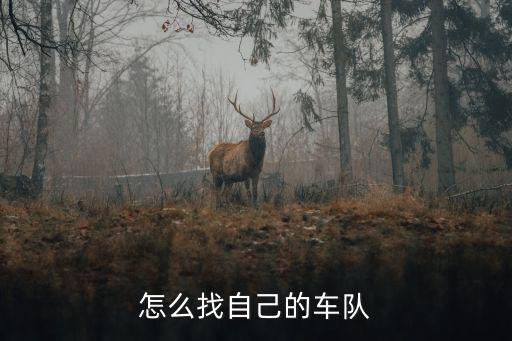 怎么找自己的车队