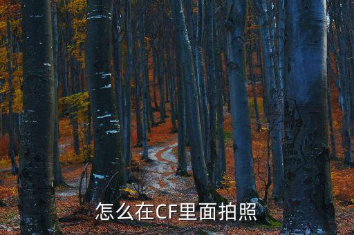 怎么在CF里面拍照