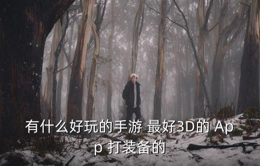有什么好玩的手游 最好3D的 App 打装备的
