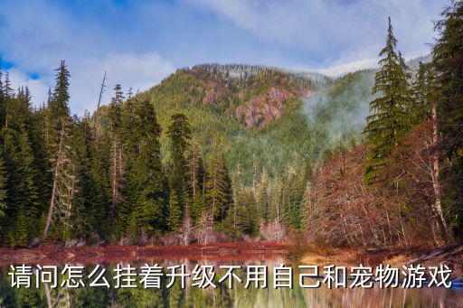 请问怎么挂着升级不用自己和宠物游戏