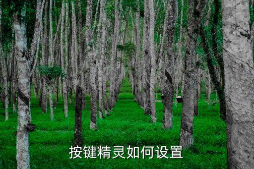 按键精灵如何设置