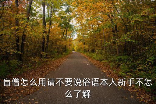 手游怎么用盲僧三角杀，盲僧咋用