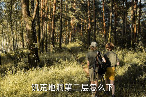 饥荒地洞第二层怎么下