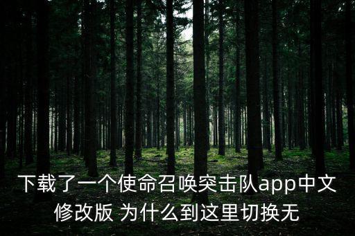 下载了一个使命召唤突击队app中文修改版 为什么到这里切换无