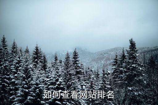 如何查看网站排名