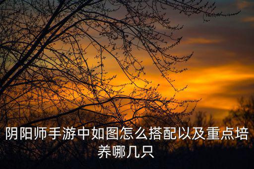阴阳师手游中如图怎么搭配以及重点培养哪几只