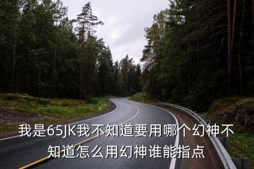 我是65JK我不知道要用哪个幻神不知道怎么用幻神谁能指点