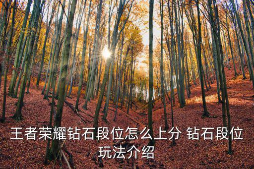 手游打野怎么上钻石段位，怎样上钻石进来我教你