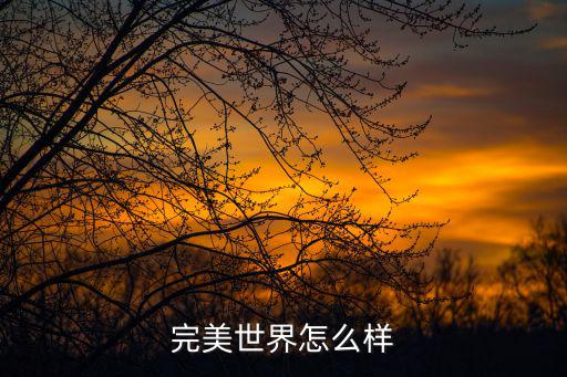 完美世界怎么样