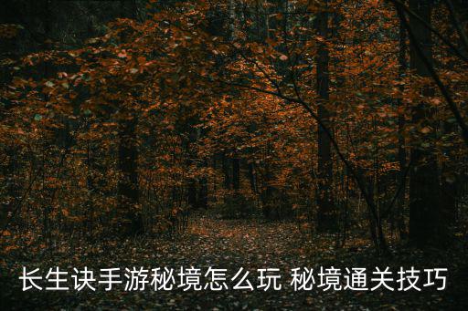 长生诀手游秘境怎么玩 秘境通关技巧