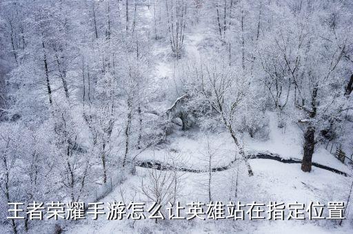 王者荣耀手游怎么让英雄站在指定位置