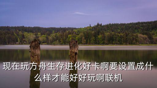 现在玩方舟生存进化好卡啊要设置成什么样才能好好玩啊联机