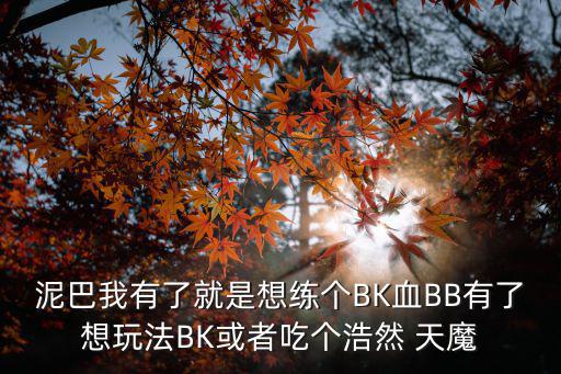 泥巴我有了就是想练个BK血BB有了想玩法BK或者吃个浩然 天魔
