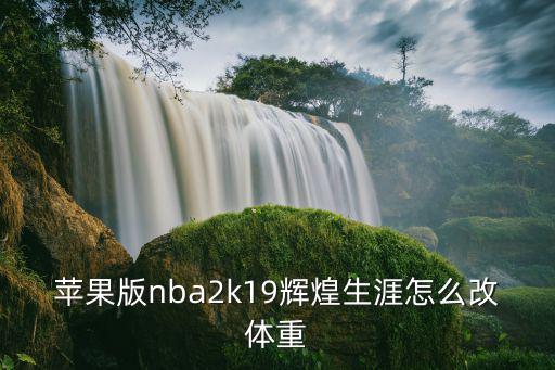 2k19手游怎么修改体重，NBA2K9如何设置球员体重