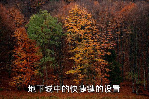 地下城中的快捷键的设置