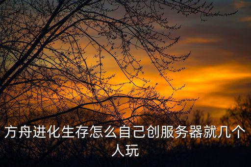 方舟进化生存怎么自己创服务器就几个人玩