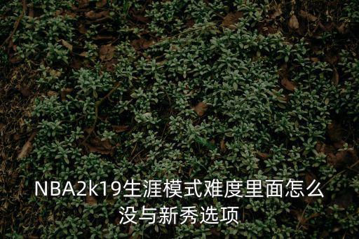 NBA2k19生涯模式难度里面怎么没与新秀选项