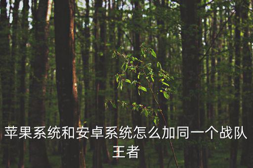 苹果系统和安卓系统怎么加同一个战队王者