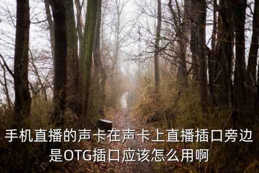 手机直播的声卡在声卡上直播插口旁边是OTG插口应该怎么用啊