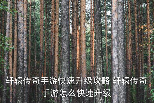 轩辕传奇手游怎么更新，为怎么轩辕传奇更新不了