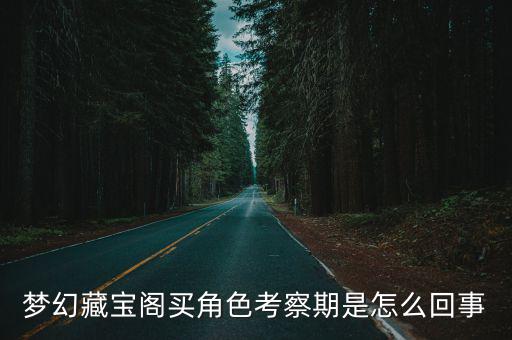 梦幻藏宝阁买角色考察期是怎么回事