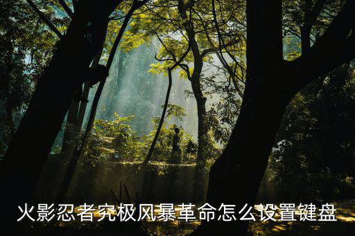 火影忍者究极风暴革命怎么设置键盘