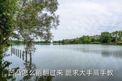 凹凸怎么能翻过来 跪求大手高手教