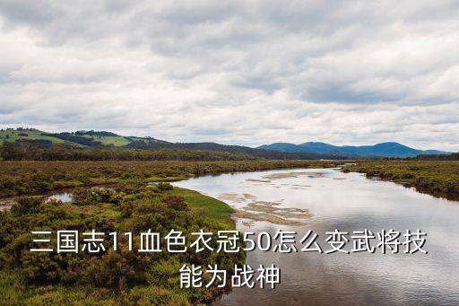 三国志11血色衣冠50怎么变武将技能为战神
