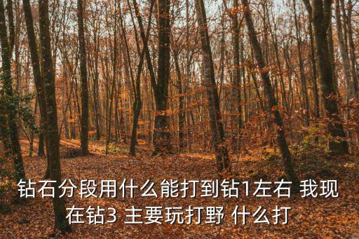 钻石分段用什么能打到钻1左右 我现在钻3 主要玩打野 什么打