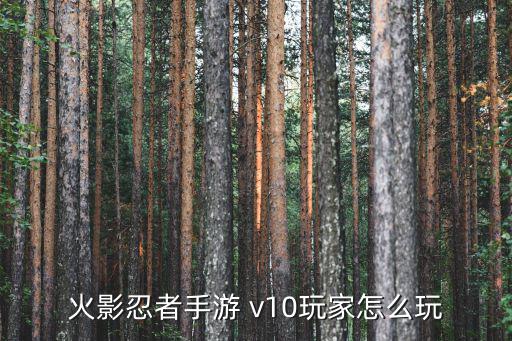 火影忍者手游 v10玩家怎么玩