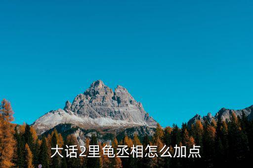 手游大话龟丞相怎么加点，梦幻西游手游龟丞相怎么加点 龟丞相加点推荐