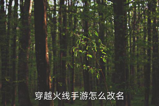 穿越火线手游怎么改名