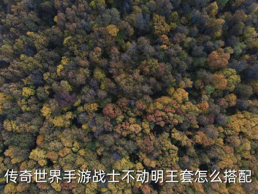 传奇世界手游战士不动明王套怎么搭配