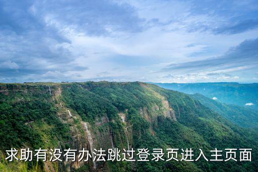 求助有没有办法跳过登录页进入主页面