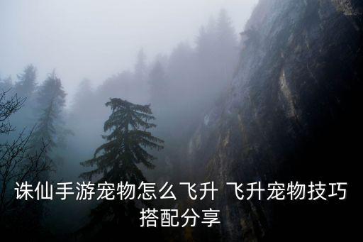 诛仙手游宠物怎么飞升 飞升宠物技巧搭配分享