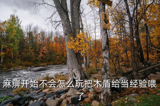 麻痹开始不会怎么玩把木盾给当经验喂了
