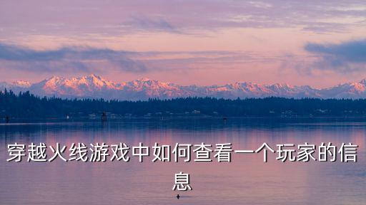 穿越火线游戏中如何查看一个玩家的信息