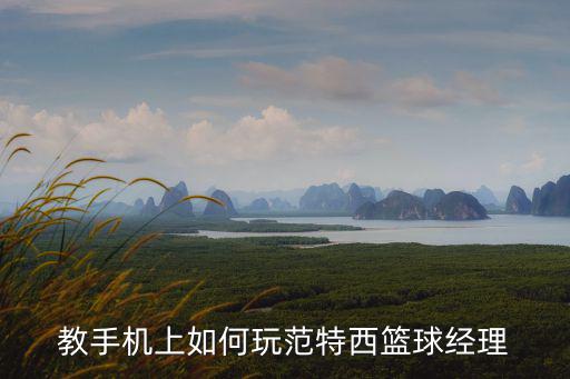 篮球经理手游版怎么玩，游戏 NBA范特西篮球经理怎么玩