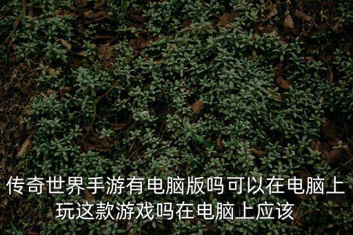 传奇世界手游有电脑版吗可以在电脑上玩这款游戏吗在电脑上应该