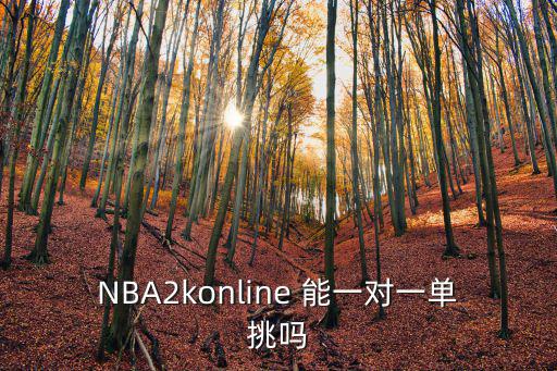 NBA2konline 能一对一单挑吗