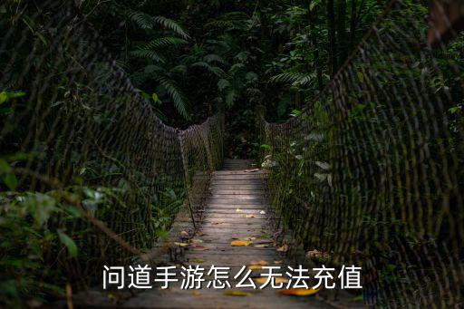 腾讯版问道手游充值关闭怎么回事，手机问道怎么充值不了