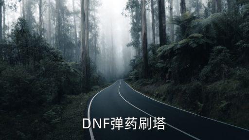 DNF弹药刷塔