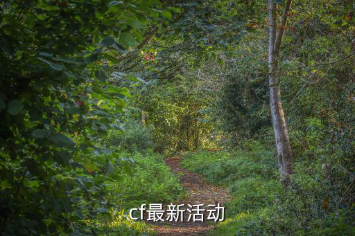 cf最新活动