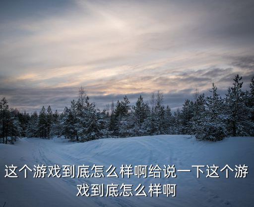 这个游戏到底怎么样啊给说一下这个游戏到底怎么样啊
