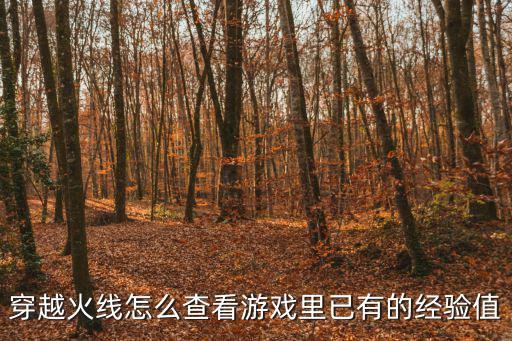 穿越火线怎么查看游戏里已有的经验值