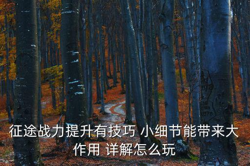 征途战力提升有技巧 小细节能带来大作用 详解怎么玩