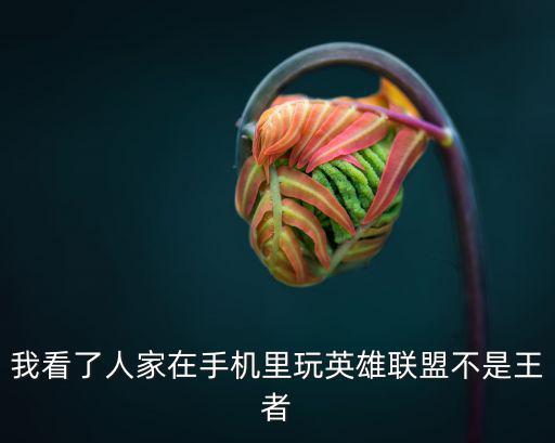 腾讯联盟手游没有王者怎么办，怎么腾讯游戏平台现在不能玩王者