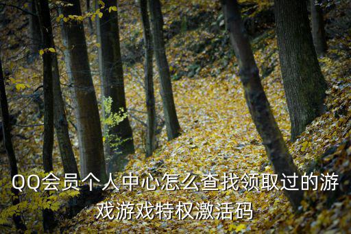 QQ会员个人中心怎么查找领取过的游戏游戏特权激活码