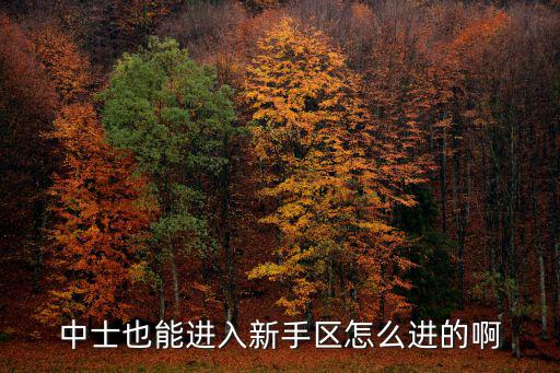 中士也能进入新手区怎么进的啊